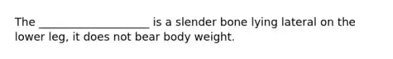 The ____________________ is a slender bone lying lateral on the lower leg, it does not bear body weight.