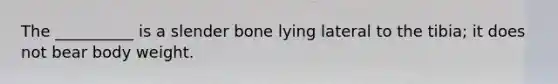 The __________ is a slender bone lying lateral to the tibia; it does not bear body weight.