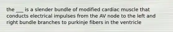 the ___ is a slender bundle of modified cardiac muscle that conducts electrical impulses from the AV node to the left and right bundle branches to purkinje fibers in the ventricle