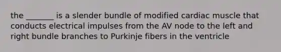 the _______ is a slender bundle of modified cardiac muscle that conducts electrical impulses from the AV node to the left and right bundle branches to Purkinje fibers in the ventricle