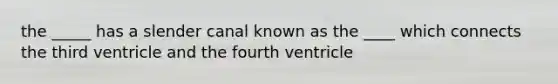 the _____ has a slender canal known as the ____ which connects the third ventricle and the fourth ventricle