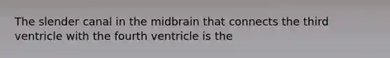 The slender canal in the midbrain that connects the third ventricle with the fourth ventricle is the