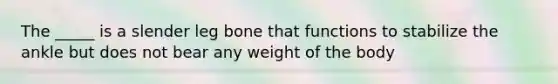 The _____ is a slender leg bone that functions to stabilize the ankle but does not bear any weight of the body