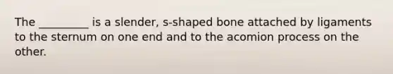 The _________ is a slender, s-shaped bone attached by ligaments to the sternum on one end and to the acomion process on the other.