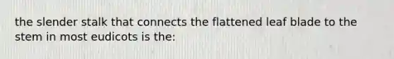 the slender stalk that connects the flattened leaf blade to the stem in most eudicots is the: