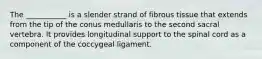 The ___________ is a slender strand of fibrous tissue that extends from the tip of the conus medullaris to the second sacral vertebra. It provides longitudinal support to the spinal cord as a component of the coccygeal ligament.