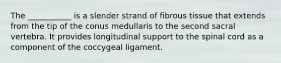 The ___________ is a slender strand of fibrous tissue that extends from the tip of the conus medullaris to the second sacral vertebra. It provides longitudinal support to the spinal cord as a component of the coccygeal ligament.