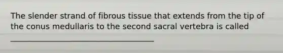 The slender strand of fibrous tissue that extends from the tip of the conus medullaris to the second sacral vertebra is called ____________________________________