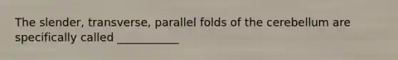 The slender, transverse, parallel folds of the cerebellum are specifically called ___________