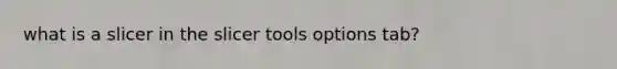 what is a slicer in the slicer tools options tab?