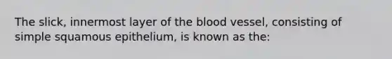 The slick, innermost layer of the blood vessel, consisting of simple squamous epithelium, is known as the: