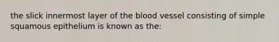 the slick innermost layer of the blood vessel consisting of simple squamous epithelium is known as the: