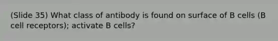 (Slide 35) What class of antibody is found on surface of B cells (B cell receptors); activate B cells?