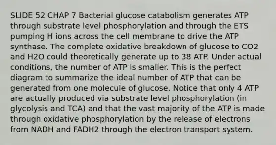 SLIDE 52 CHAP 7 Bacterial glucose catabolism generates ATP through substrate level phosphorylation and through the ETS pumping H ions across the cell membrane to drive the ATP synthase. The complete oxidative breakdown of glucose to CO2 and H2O could theoretically generate up to 38 ATP. Under actual conditions, the number of ATP is smaller. This is the perfect diagram to summarize the ideal number of ATP that can be generated from one molecule of glucose. Notice that only 4 ATP are actually produced via substrate level phosphorylation (in glycolysis and TCA) and that the vast majority of the ATP is made through <a href='https://www.questionai.com/knowledge/kFazUb9IwO-oxidative-phosphorylation' class='anchor-knowledge'>oxidative phosphorylation</a> by the release of electrons from NADH and FADH2 through the <a href='https://www.questionai.com/knowledge/kbvjAonm6A-electron-transport-system' class='anchor-knowledge'>electron transport system</a>.