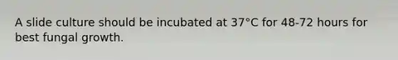 A slide culture should be incubated at 37°C for 48-72 hours for best fungal growth.