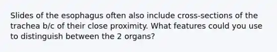 Slides of the esophagus often also include cross-sections of the trachea b/c of their close proximity. What features could you use to distinguish between the 2 organs?