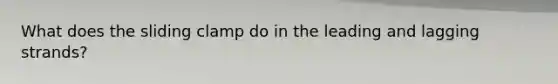 What does the sliding clamp do in the leading and lagging strands?