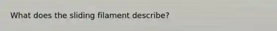 What does the sliding filament describe?