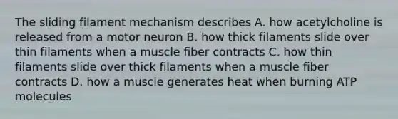 The sliding filament mechanism describes A. how acetylcholine is released from a motor neuron B. how thick filaments slide over thin filaments when a muscle fiber contracts C. how thin filaments slide over thick filaments when a muscle fiber contracts D. how a muscle generates heat when burning ATP molecules