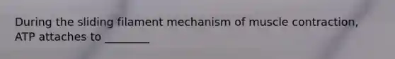 During the sliding filament mechanism of muscle contraction, ATP attaches to ________