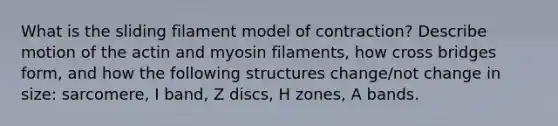 What is the sliding filament model of contraction? Describe motion of the actin and myosin filaments, how cross bridges form, and how the following structures change/not change in size: sarcomere, I band, Z discs, H zones, A bands.