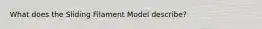 What does the Sliding Filament Model describe?