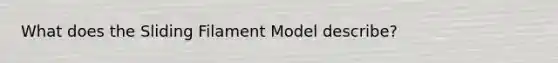 What does the Sliding Filament Model describe?