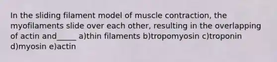 In the sliding filament model of muscle contraction, the myofilaments slide over each other, resulting in the overlapping of actin and_____ a)thin filaments b)tropomyosin c)troponin d)myosin e)actin