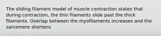 The sliding filament model of <a href='https://www.questionai.com/knowledge/k0LBwLeEer-muscle-contraction' class='anchor-knowledge'>muscle contraction</a> states that during contraction, the thin filaments slide past the thick filaments. Overlap between the myofilaments increases and the sarcomere shortens