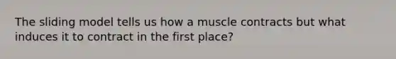 The sliding model tells us how a muscle contracts but what induces it to contract in the first place?