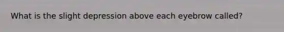 What is the slight depression above each eyebrow called?