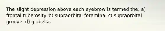 The slight depression above each eyebrow is termed the: a) frontal tuberosity. b) supraorbital foramina. c) supraorbital groove. d) glabella.