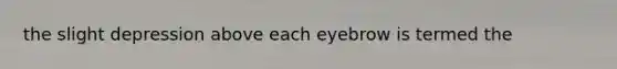 the slight depression above each eyebrow is termed the