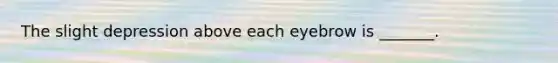 The slight depression above each eyebrow is _______.