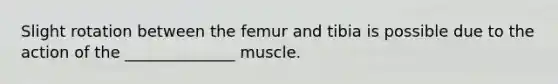 Slight rotation between the femur and tibia is possible due to the action of the ______________ muscle.