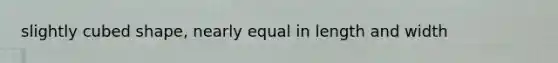 slightly cubed shape, nearly equal in length and width