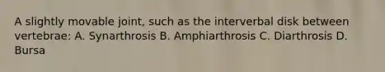 A slightly movable joint, such as the interverbal disk between vertebrae: A. Synarthrosis B. Amphiarthrosis C. Diarthrosis D. Bursa