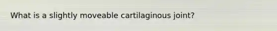 What is a slightly moveable cartilaginous joint?