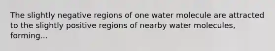 The slightly negative regions of one water molecule are attracted to the slightly positive regions of nearby water molecules, forming...