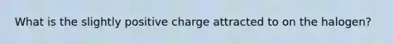 What is the slightly positive charge attracted to on the halogen?