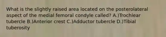 What is the slightly raised area located on the posterolateral aspect of the medial femoral condyle called? A.)Trochlear tubercle B.)Anterior crest C.)Adductor tubercle D.)Tibial tuberosity