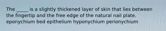 The _____ is a slightly thickened layer of skin that lies between the fingertip and the free edge of the natural nail plate. eponychium bed epithelium hyponychium perionychium