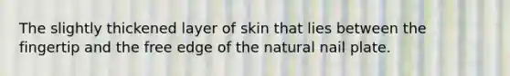 The slightly thickened layer of skin that lies between the fingertip and the free edge of the natural nail plate.