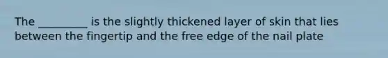 The _________ is the slightly thickened layer of skin that lies between the fingertip and the free edge of the nail plate