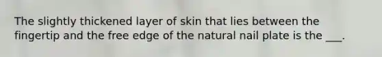 The slightly thickened layer of skin that lies between the fingertip and the free edge of the natural nail plate is the ___.