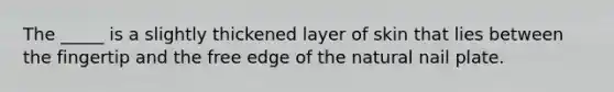 The _____ is a slightly thickened layer of skin that lies between the fingertip and the free edge of the natural nail plate.