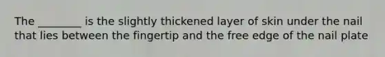 The ________ is the slightly thickened layer of skin under the nail that lies between the fingertip and the free edge of the nail plate