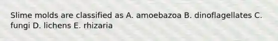 <a href='https://www.questionai.com/knowledge/kHvmUbfxIK-slime-molds' class='anchor-knowledge'>slime molds</a> are classified as A. amoebazoa B. dinoflagellates C. fungi D. lichens E. rhizaria