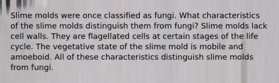 Slime molds were once classified as fungi. What characteristics of the slime molds distinguish them from fungi? Slime molds lack cell walls. They are flagellated cells at certain stages of the life cycle. The vegetative state of the slime mold is mobile and amoeboid. All of these characteristics distinguish slime molds from fungi.