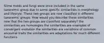 Slime molds and fungi were once included in the same taxonomic group due to some specific similarities in morphology and lifestyle. These two groups are now classified in different taxonomic groups. How would you describe these similarities now that the two groups are classified separately? the similarities are homologies the similarities are examples of convergent evolution the similarities are variations of common ancestral traits the similarities are adaptations for much different functions